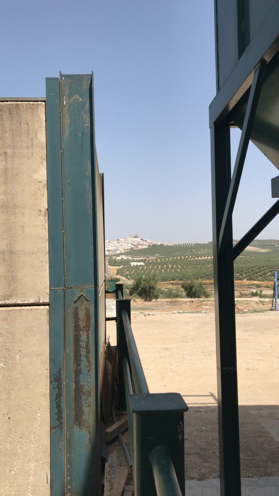 Olivenbäume vor dem weißen Dorf Espejo, Andalusien